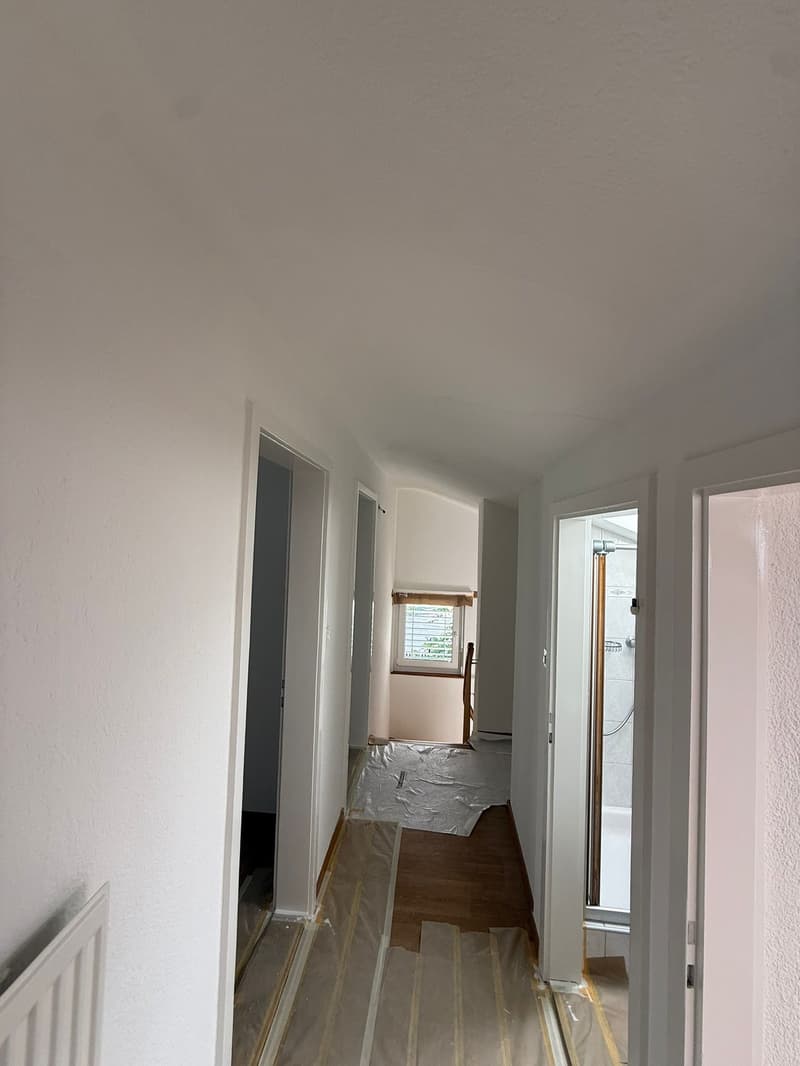 Charmantes 6-Zimmer-Einfamilienhaus mit Garten in Aarau (10)
