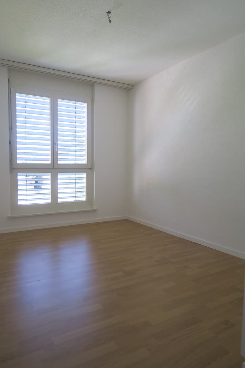 Moderne 4-Zimmer-Wohnung mit Balkon in ruhiger Lage Kappel (5)