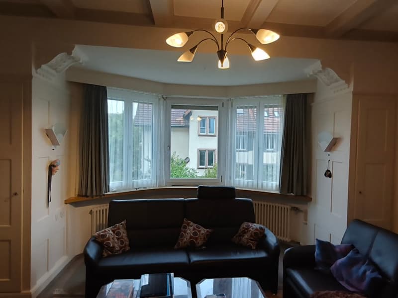 Einfamilienhaus mit historischem und edlem Charakter in Olten (6)