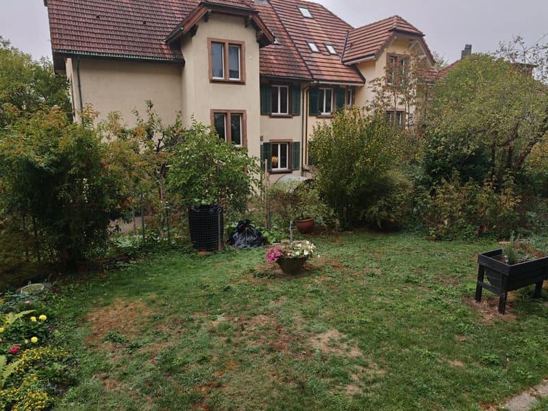 Einfamilienhaus mit historischem und edlem Charakter in Olten (2)