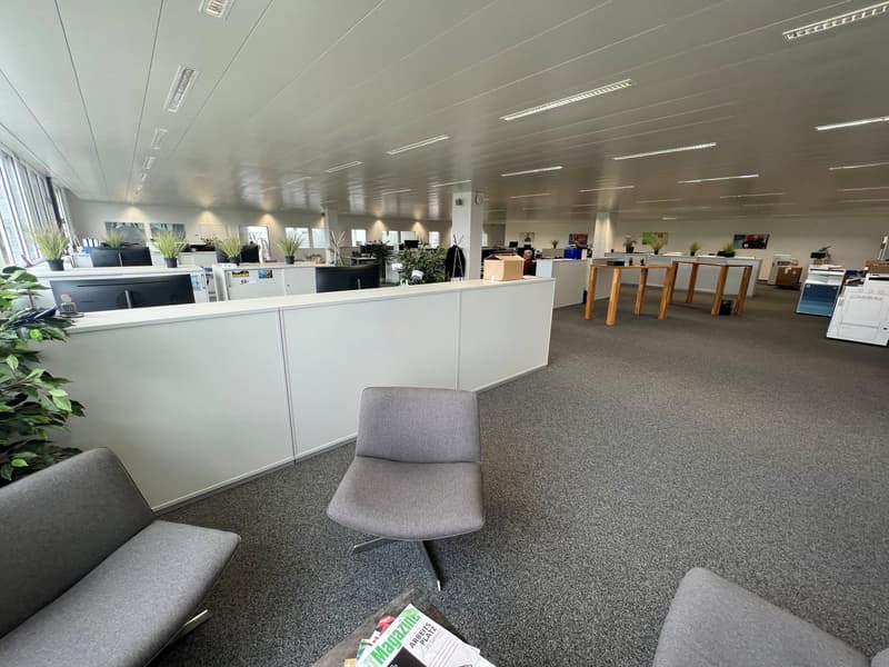 Empty office space with grey chairs, a small desk, grey carpet and plants in the corners