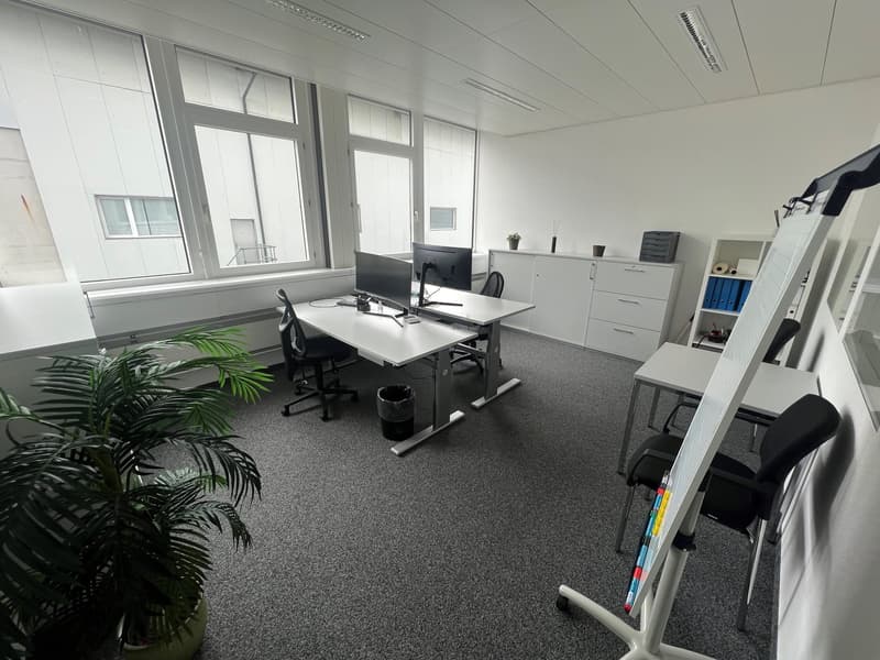 desk, chair, monitor, trash bin, potted plant, large window, cabinets, bookshelf