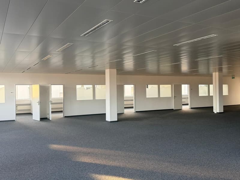Open office space with multiple doors, gray carpet flooring, white walls, ceiling lights, large windows
