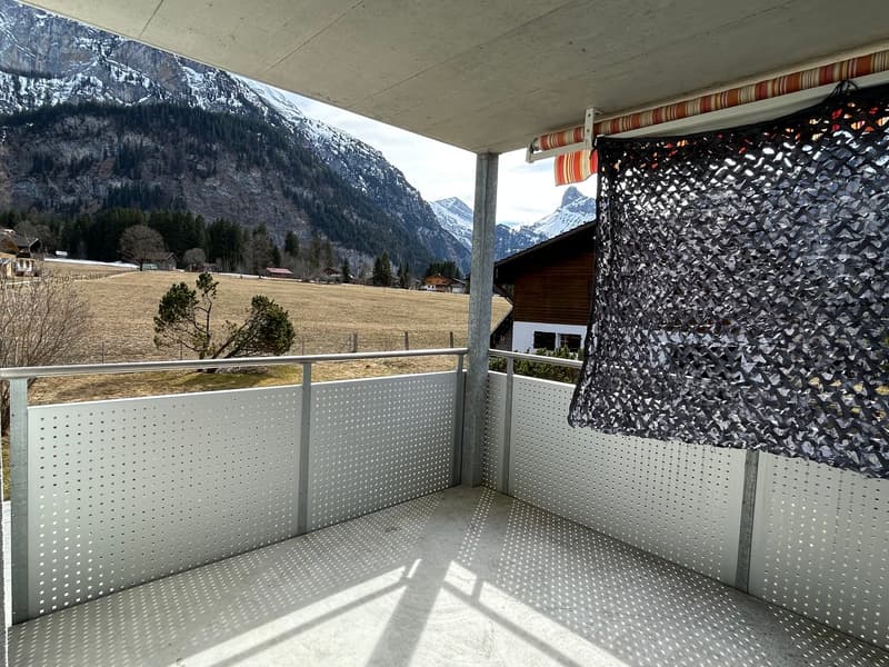 balcony with metal railing, metal wall, black net, view of mountains and fields