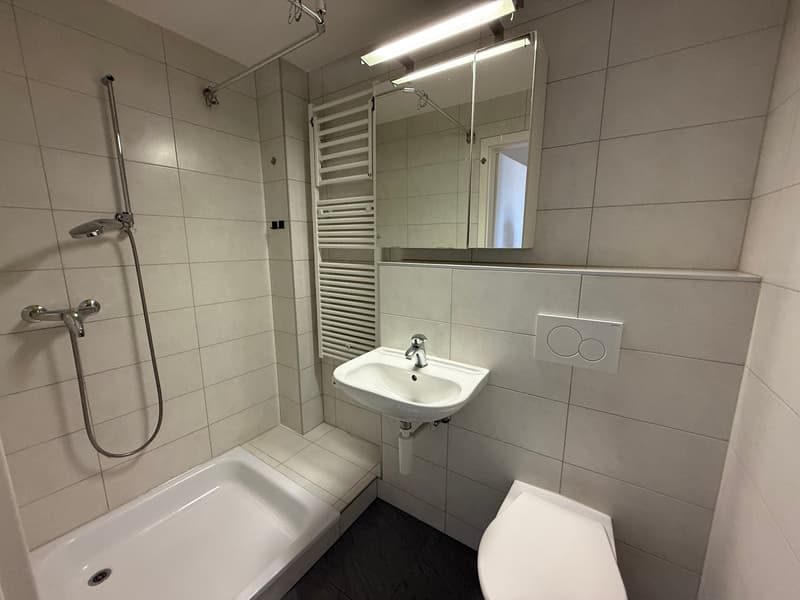 Wohnung mit Bergpanorama (4)