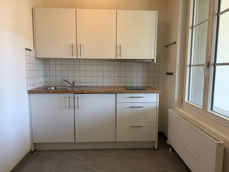 Wohnung mit Bergpanorama (3)