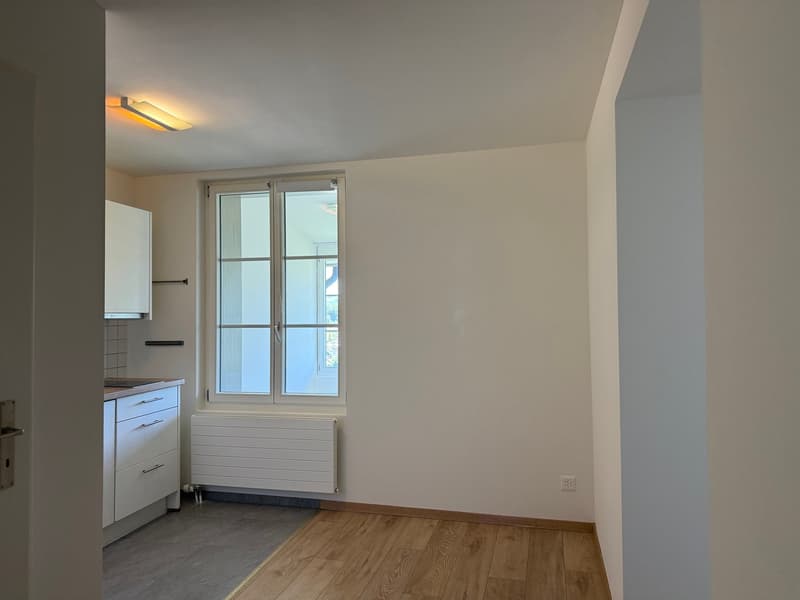 Wohnung mit Bergpanorama (5)