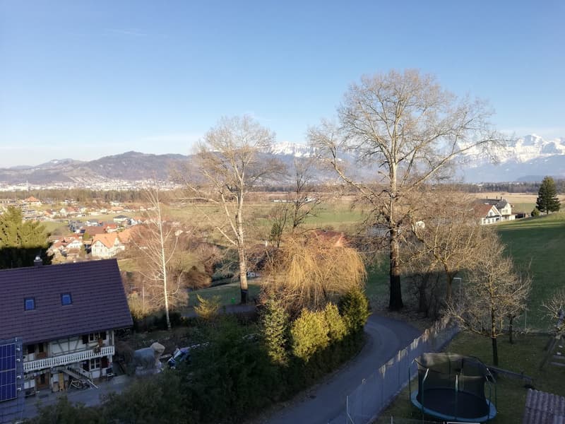 Wohnung mit Bergpanorama (1)