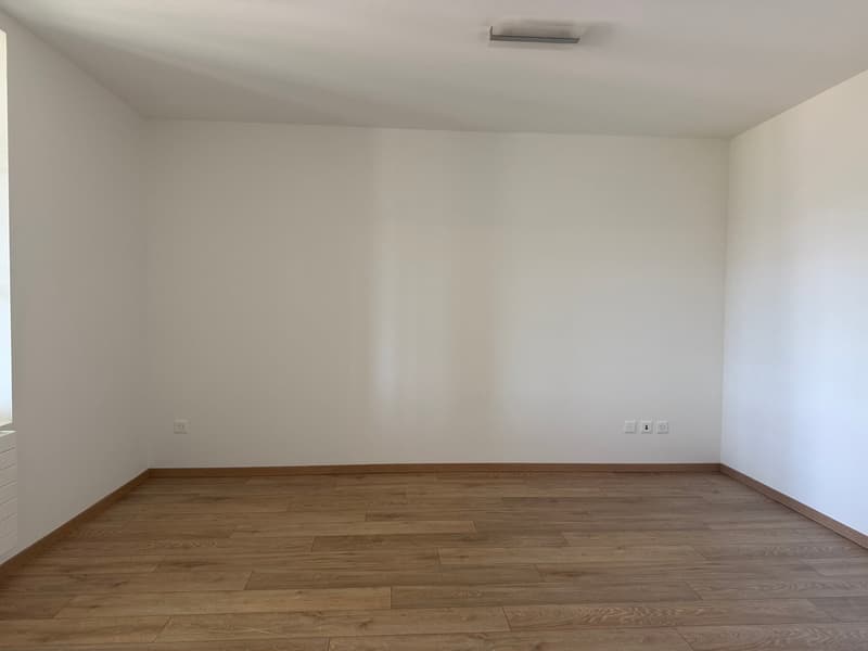 Wohnung mit Bergpanorama (6)