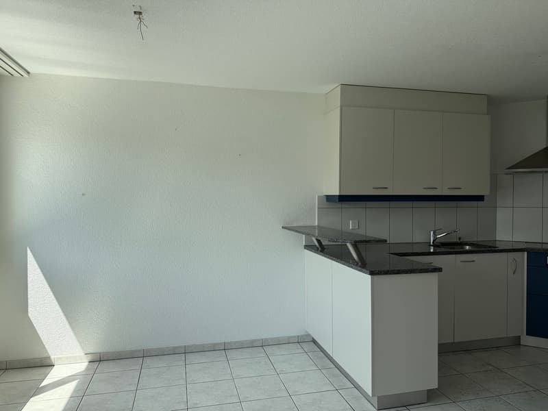 Helle und ruhig gelegene 4.5-Zimmerwohnung mit grossem Balkon (5)