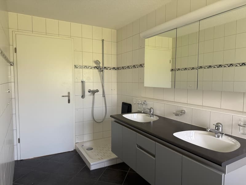 Helle und ruhig gelegene 4.5-Zimmerwohnung mit grossem Balkon (7)