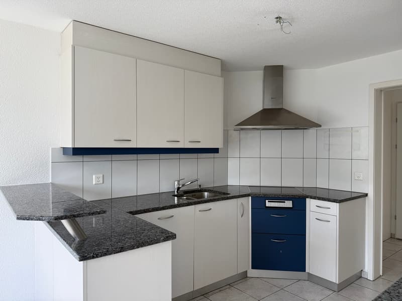 Helle und ruhig gelegene 4.5-Zimmerwohnung mit grossem Balkon (2)