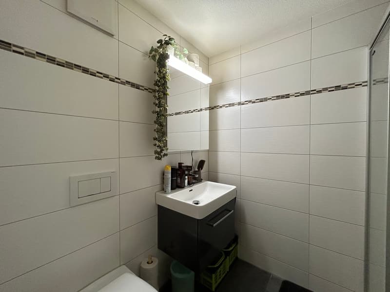 Moderne, lichtdurchflutete 4.5-Zimmer-Erdgeschosswohnung mit Traumpanorama (10)