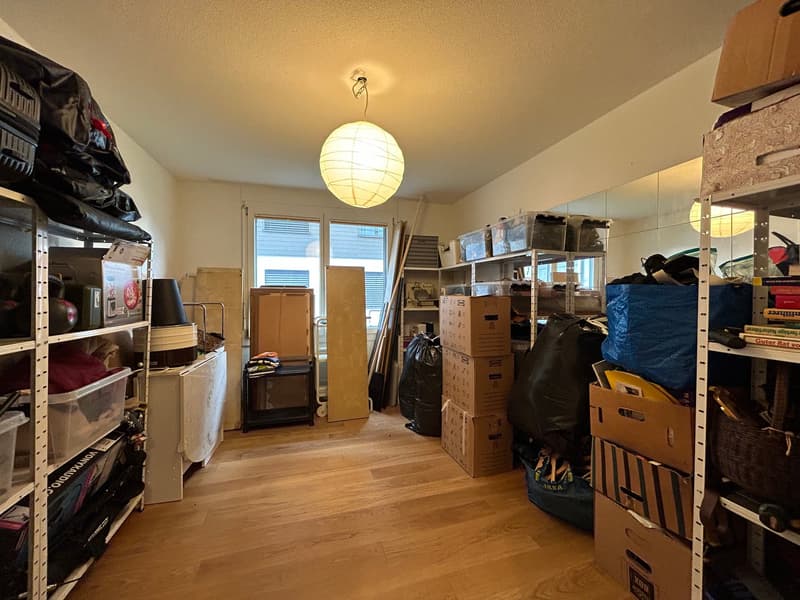 Moderne, lichtdurchflutete 4.5-Zimmer-Erdgeschosswohnung mit Traumpanorama (5)