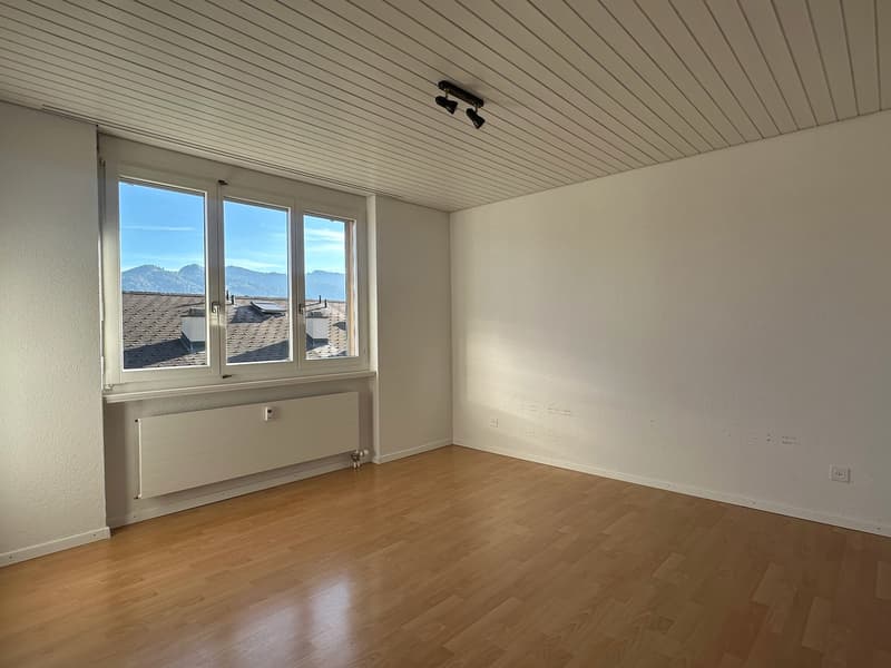 Ihre gemütliche 2.5-Zimmerwohnung mit Balkon (4)