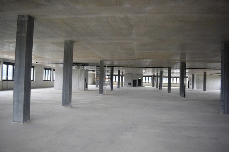 PARK 19 Frauenfeld - Piano attico (5)
