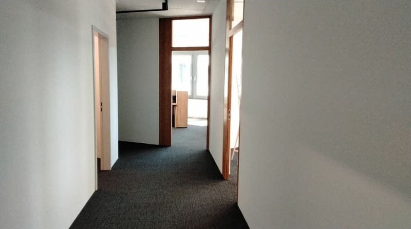 Büroflächen mit hohem Ausbaustandard, Archiv und Küche (2)