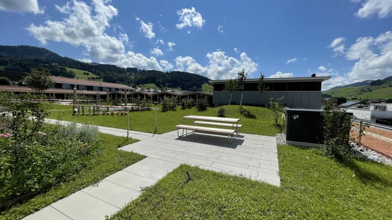 Locali di ufficio/studio centrali ad Appenzell (5)