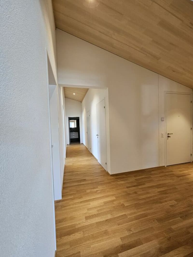 Neuwertige 4.5 Zimmer-Wohnung im Zentrum von Appenzell (1)
