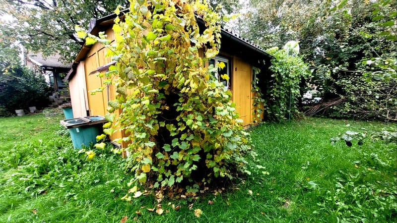 Gartenhaus * Hobbyraum * Bastelraum * (nur ruhige Tätigkeiten erlaubt) (5)