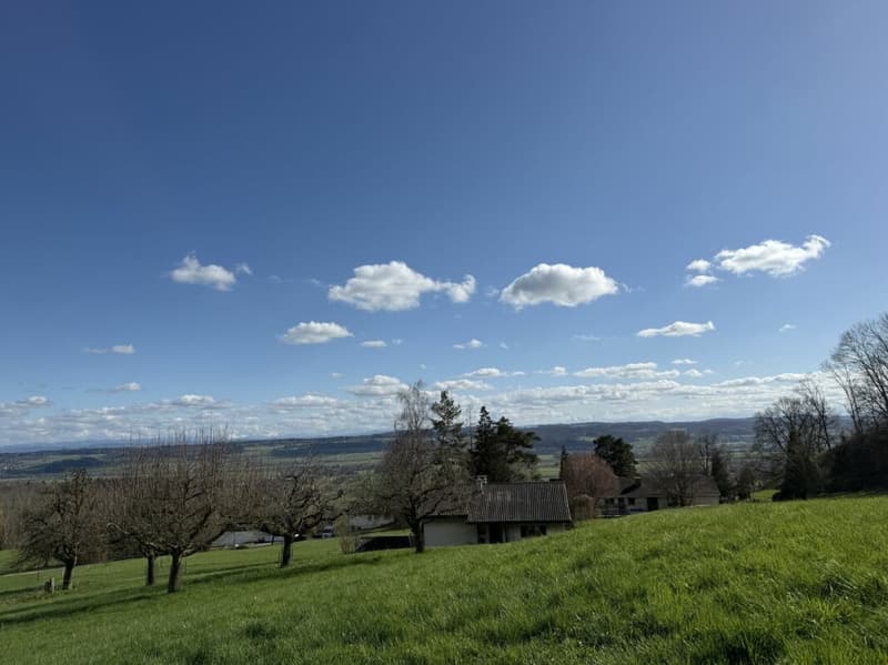 Wunderschön gelegenes 4.5-Zi-Einfamilienhaus mit schönster Aussicht (14)
