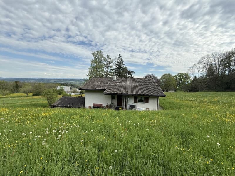 Wunderschön gelegenes 4.5-Zi-Einfamilienhaus mit schönster Aussicht (13)