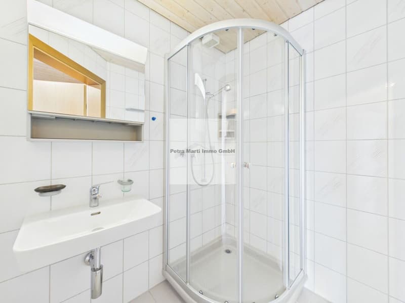 Wunderbare 2.5-Zimmer-Dachwohnung (7)