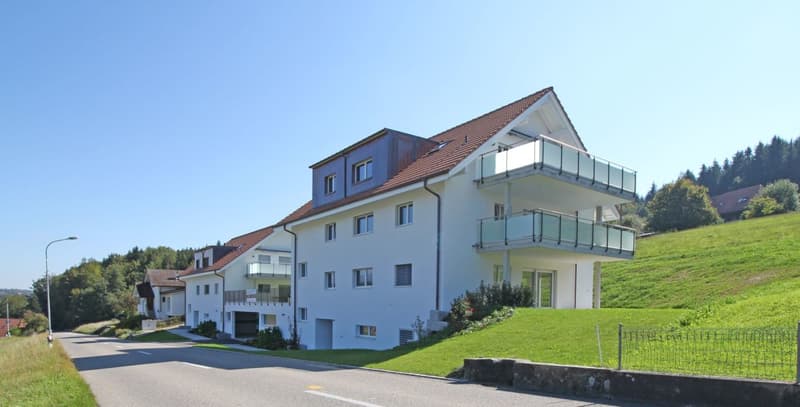 Schöne 4.5-Zi-Dachwohnung (1)