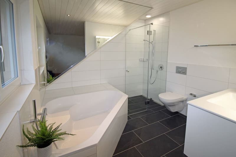 Schöne 4.5-Zi-Dachwohnung (9)