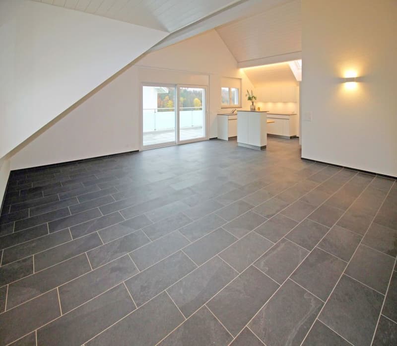 Schöne 4.5-Zi-Dachwohnung (5)