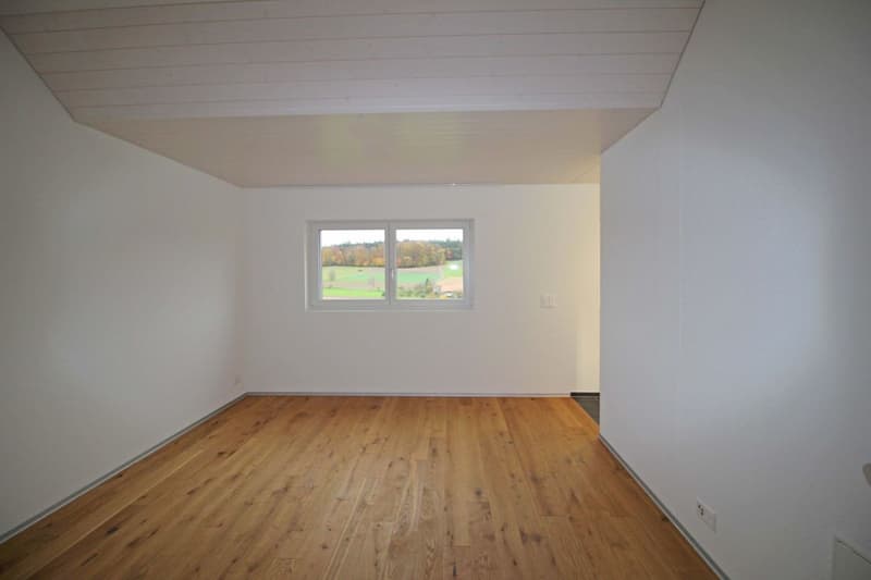 Schöne 4.5-Zi-Dachwohnung (6)