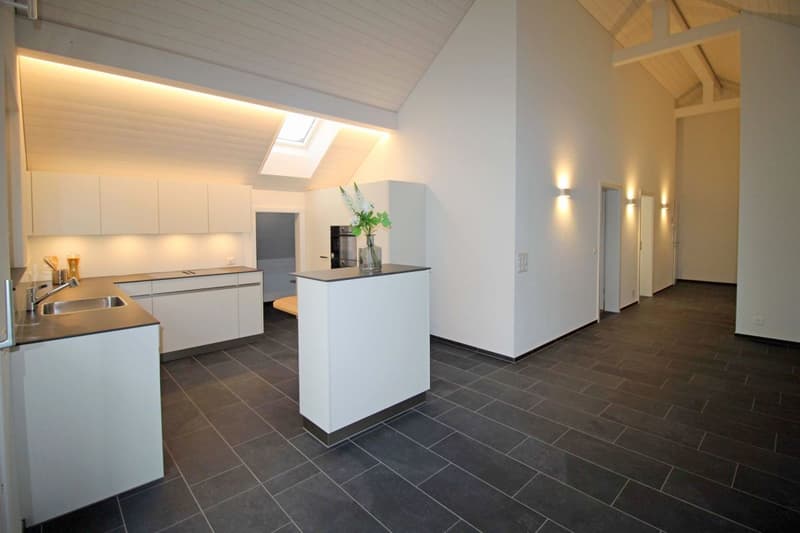 Schöne 4.5-Zi-Dachwohnung (3)
