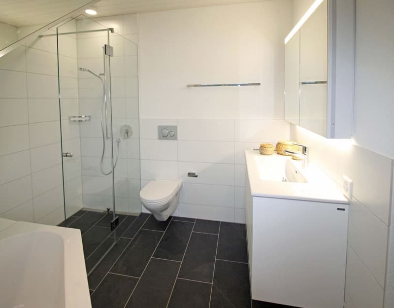 Schöne 4.5-Zi-Dachwohnung (8)