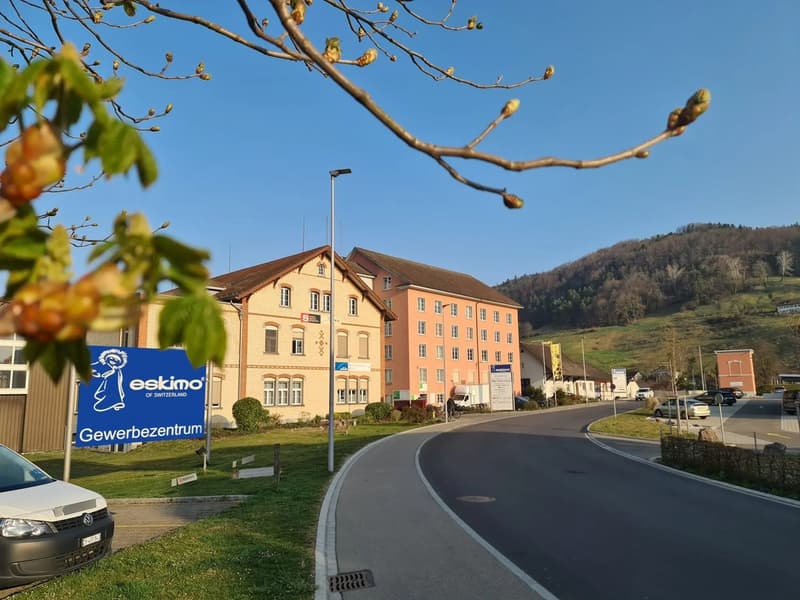 710 m² Gewerbe / Produktion mit Lagerfläche an exzellenter Lage (1)