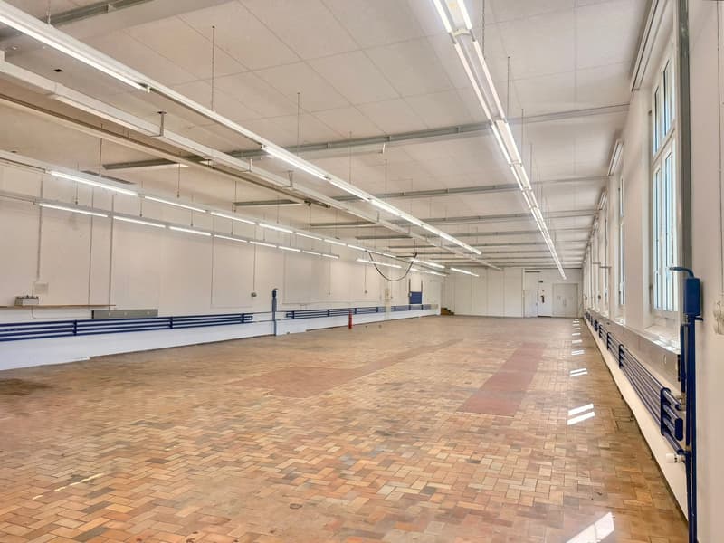 710 m² Gewerbe / Produktion mit Lagerfläche an exzellenter Lage (6)