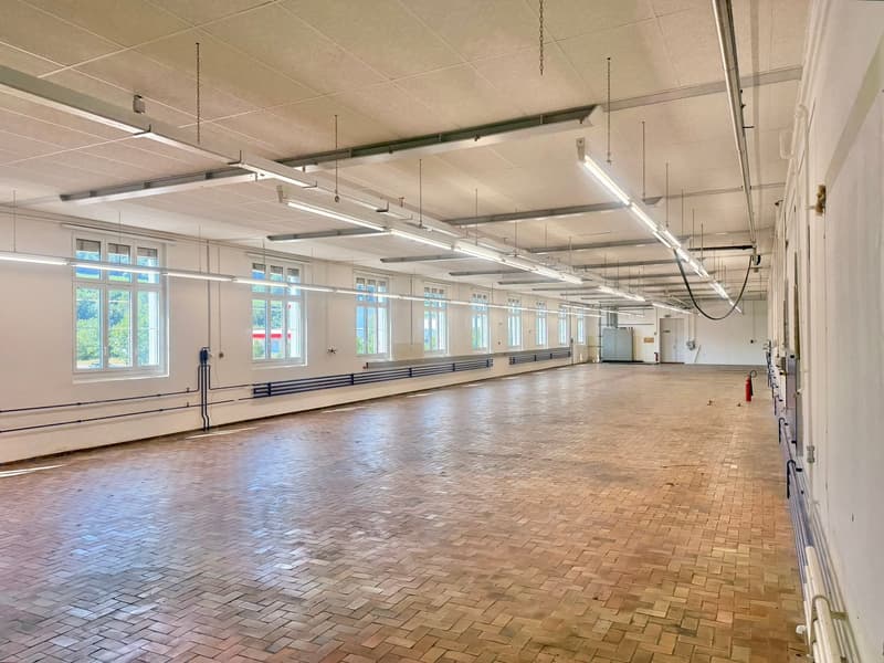 908 m² Büro / Produktion mit Lagerfläche an exzellenter Lage (11)