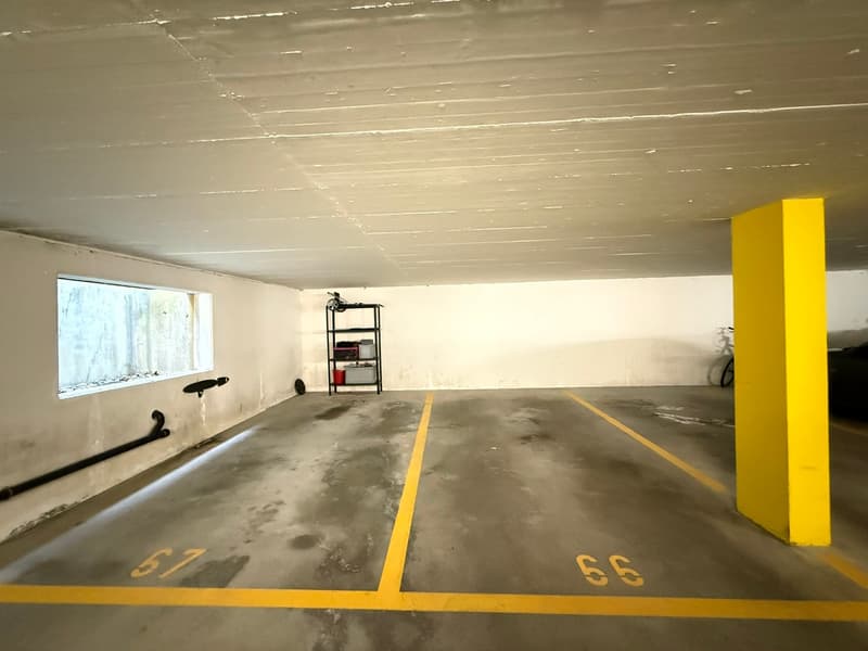 Attraktive 3.5-Zimmer-Wohnung mit Terrasse und Garten in Safenwil (16)