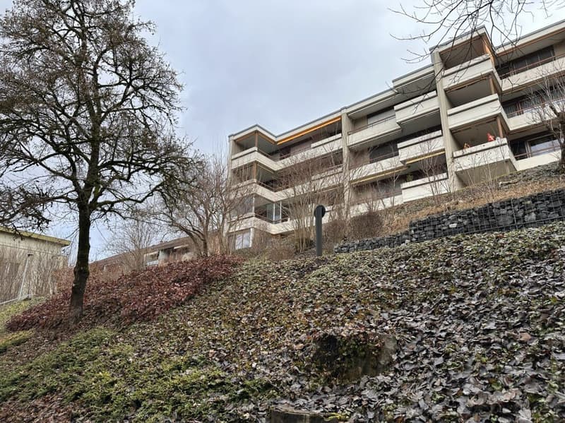 4½-Zimmer-Wohnung inkl. Einstellhallenplatz (9)