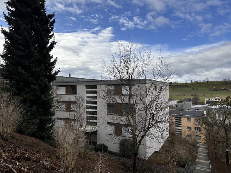 4½-Zimmer-Wohnung inkl. Einstellhallenplatz (1)