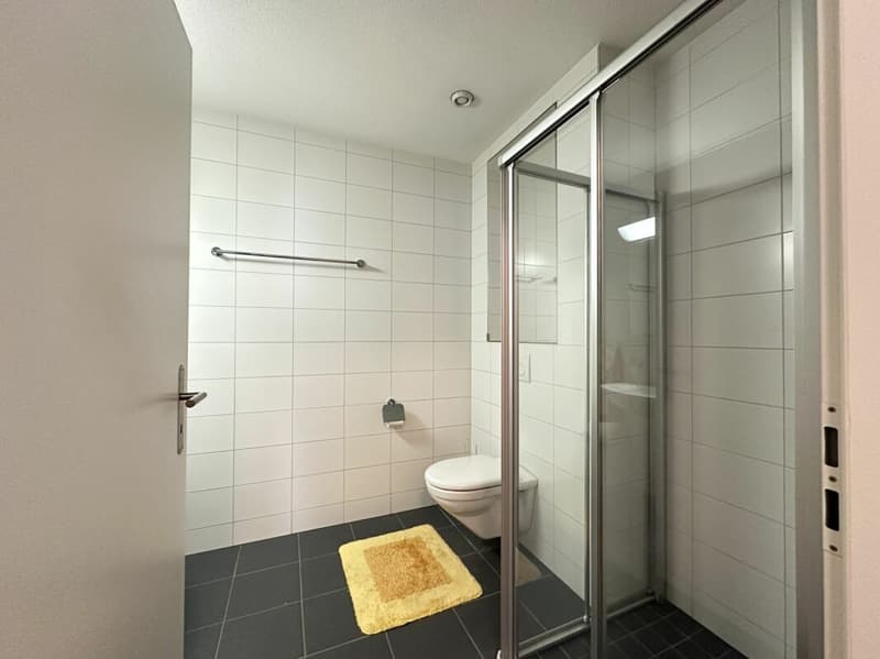 3½-Zimmer-Eigentumswohnung an zentraler und ruhiger Wohnlage (5)