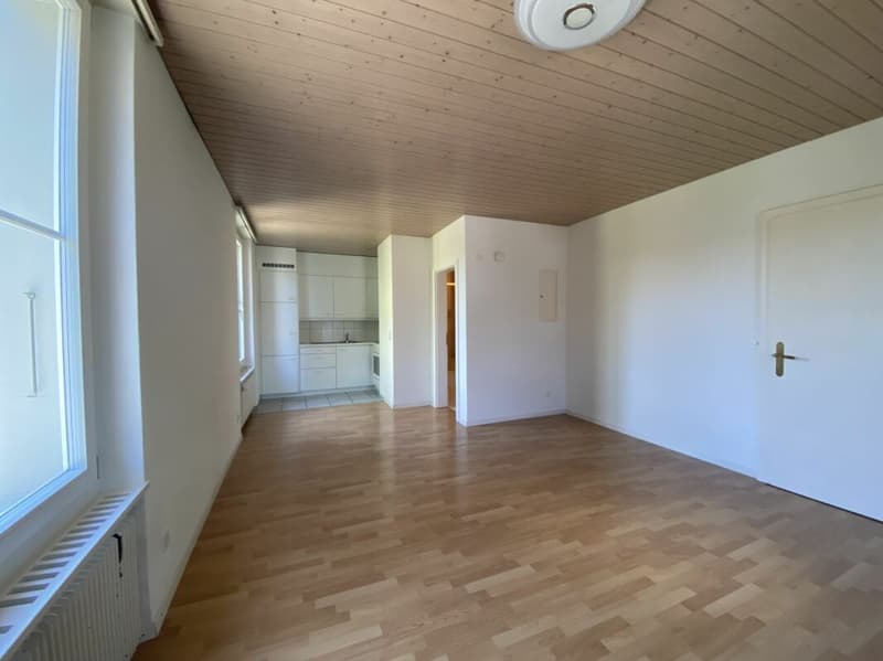 1-Zimmer-Studio-Wohnung (2)