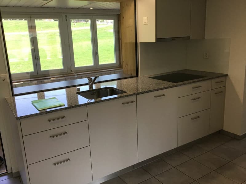 2½-Zimmer-Wohnung, hell, gemütlich, ideal für Single (2)