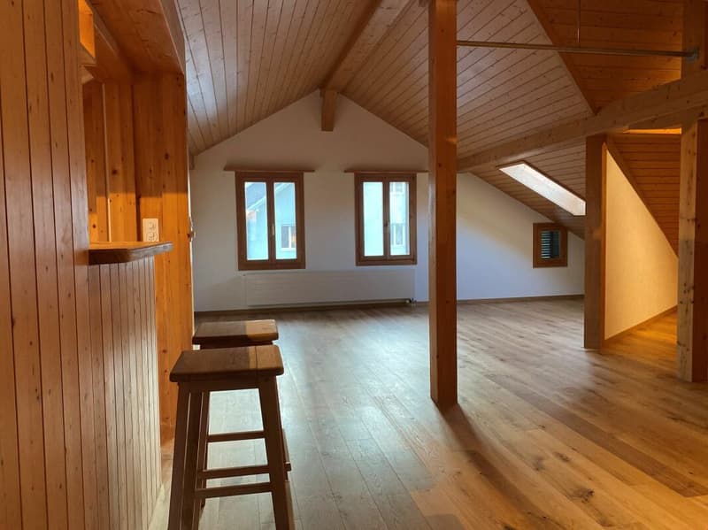 Grosszügige Dachwohnung im 3-Familienhaus (7)