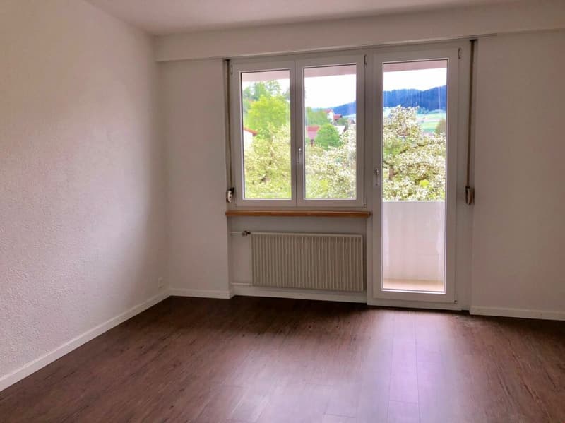 3-Zi-Wohnung, 2. OG, kein Lift, zwei kleiner Balkon mit Aussicht (4)