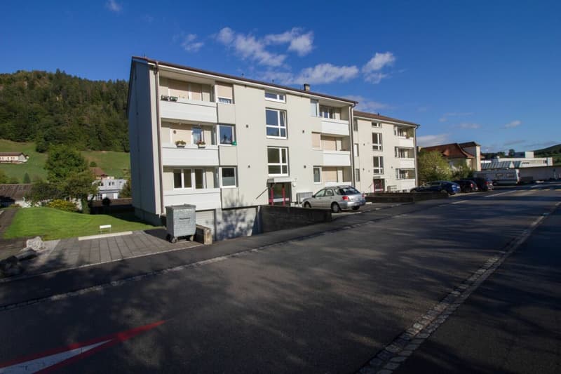 3-Zi-Wohnung, 2. OG, kein Lift, zwei kleiner Balkon mit Aussicht (1)