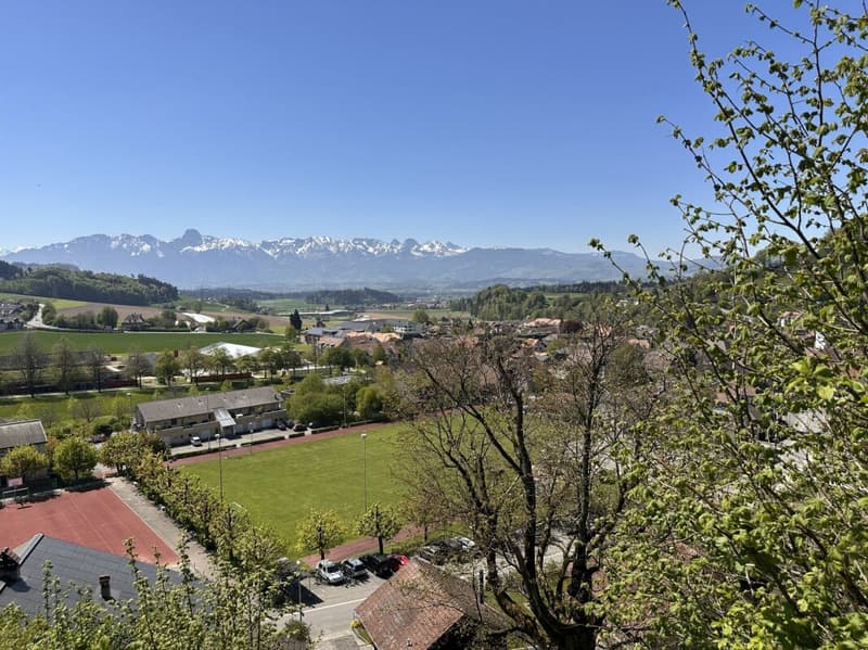 Bauland am Alpenweg mit Top Aussicht (2)