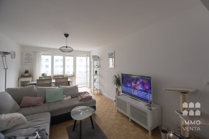 white walls, white shelving, coffee table, grey couch, TV, lamp, windows with curtains
