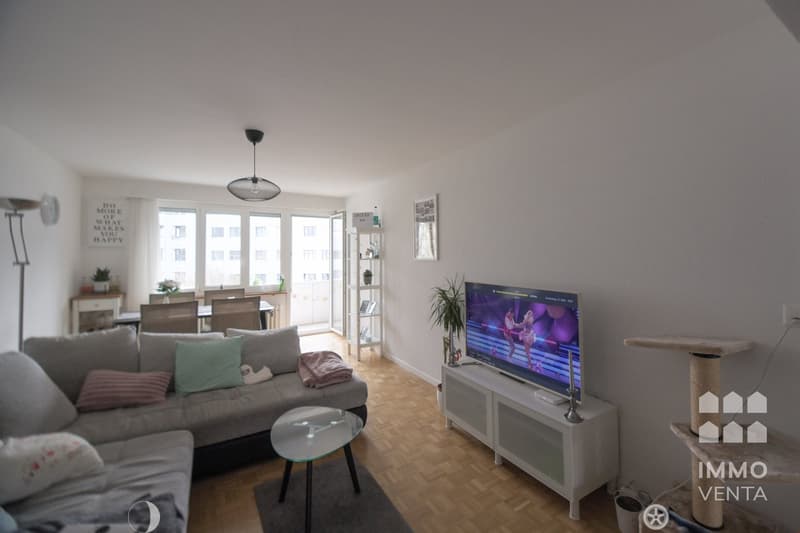white walls, white shelving, coffee table, grey couch, TV, lamp, windows with curtains