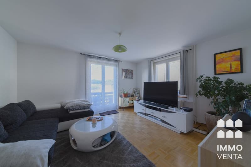 Appartement 3 pièces lumineux dans un quartier calme à Orpund (12)