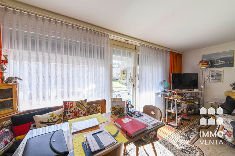 living room with large windows, table, chairs, TV, rug, shelves, and various decorative items